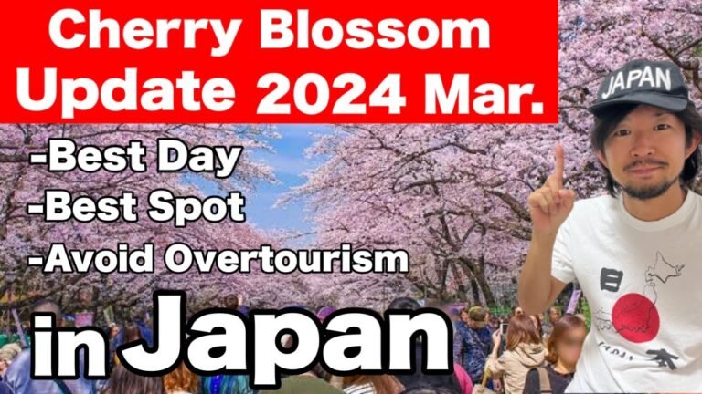 Spring Travel Tips – Japan’s Cherry blossom Updates 2024  | Sakura in Japan 2024